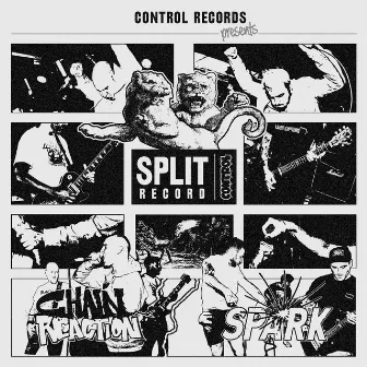 Split with Chain Reaction by Spark