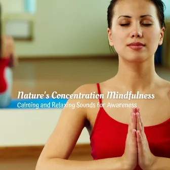 Nature's Concentration Mindfulness: Calming and Relaxing Sounds for Awareness by Kei Nature