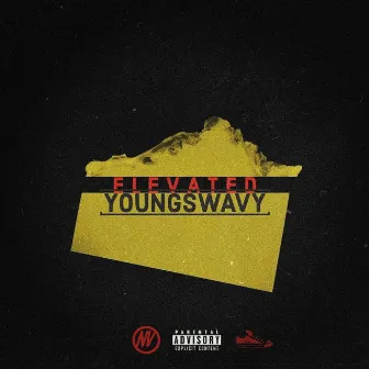 YoungSwavy (Elevated) by NV