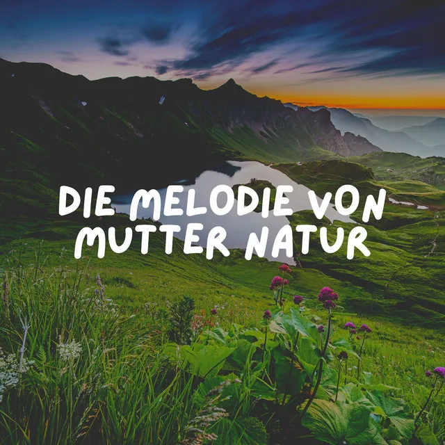 Die Herrlichkeit der Natur, Pt. 17