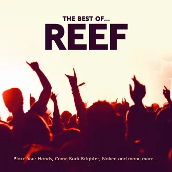 The Best Of by Reef