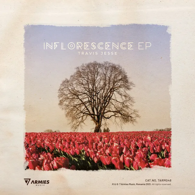 Inflorescence EP