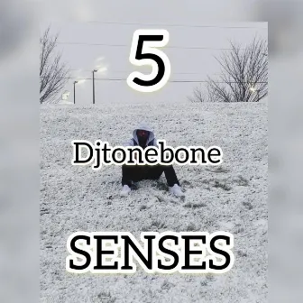 5 Senses by Djtonebone