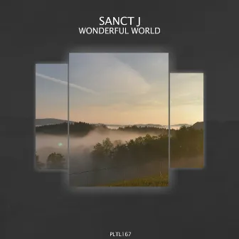 Wonderful World by Sanct J