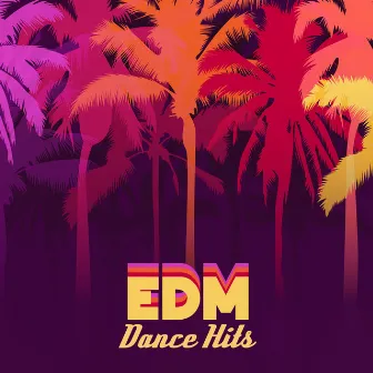 EDM Dance Hits – L.A. Beach Music, Tropical Vibes, Chillout & Hip Hop Mix by Stuck Back Steve