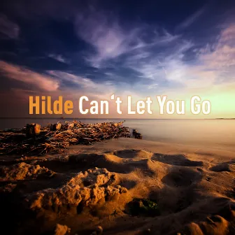 Can't Let You Go by Hilde