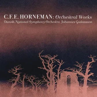 Horneman: Orchestral Works by Johannes Gustavsson