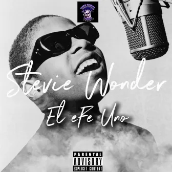 Stevie Wonder by El eFe Uno