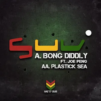 Bong Diddly feat. Joe Peng / Plastik Sea by Joe Peng