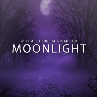 Moonlight by Michael Herrera