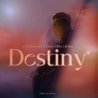 Destiny by Willdawind