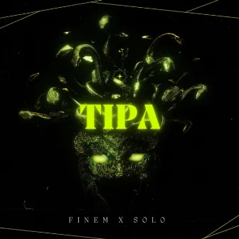 Tipa by Selmo