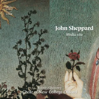 Sheppard: Media vita by John Sheppard