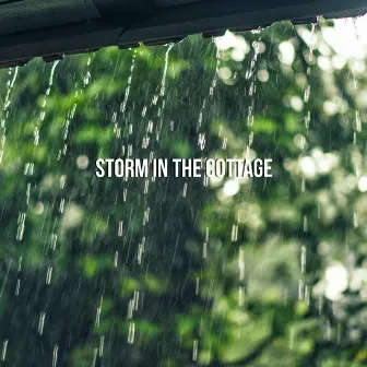 Storm In The Cottage by Rhodium Music