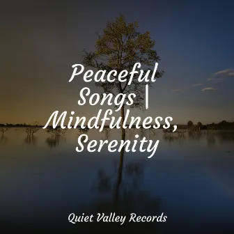 Peaceful Songs | Mindfulness, Serenity by Música de la Naturaleza