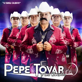 A Tamal Caliente by Pepe Tovar Y Los Chacales