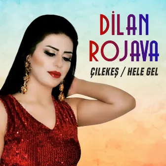 Çilekeş / Hele Gel by Dilan Rojava