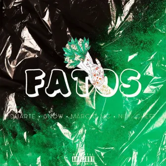 FATOS by DU∆RTE