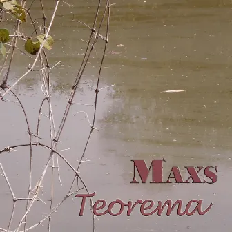 Teorema by Max S.