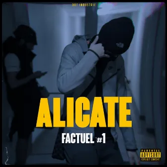 Factuel #1 by Alicate 3.8