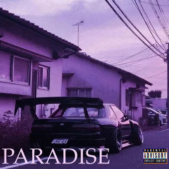 PARADISE by KNE