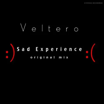 Sad Experience by Veltero