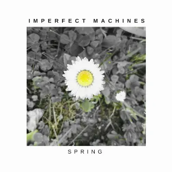 Spring by Imperfect Machines