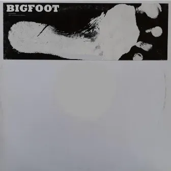 Footprints by Bigfoot