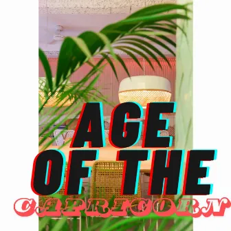 Lazy Sundays by Age Of The Capricorn