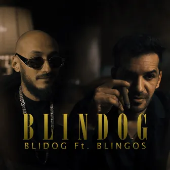 Blindog by Blidog