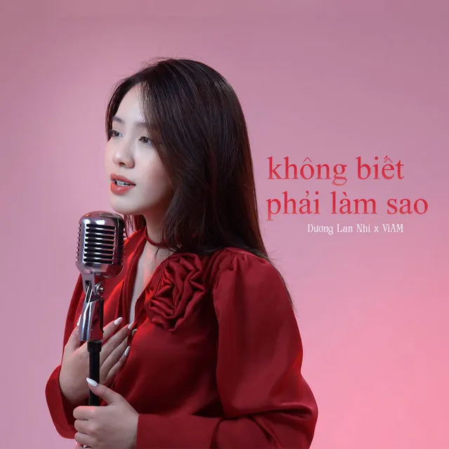 Không Biết Phải Làm Sao