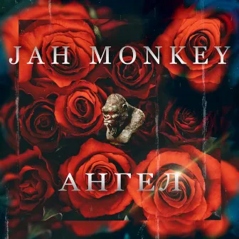 Ангел by Jah Monkey