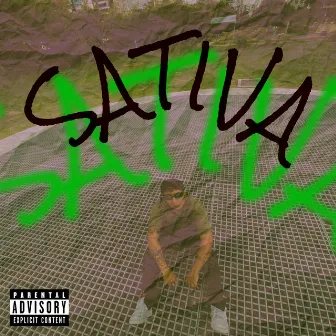 Sativa by Danny Alejandrodm