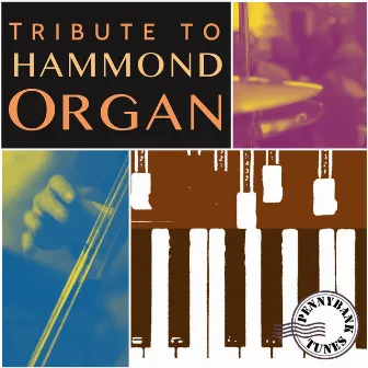 Tribute to Hammond Organ by Gilbert Sigrist