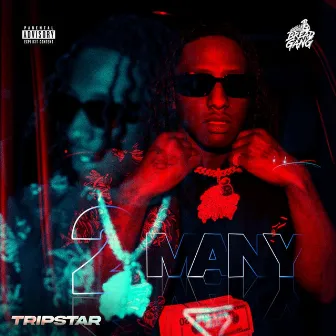 2 Many by Tripstar