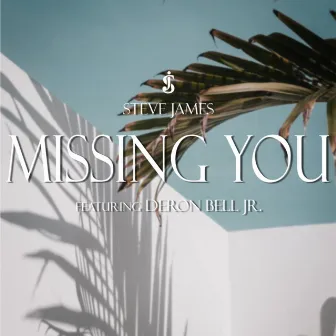 Missing You by Steve James