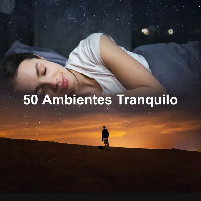 50 Ambientes Tranquilo