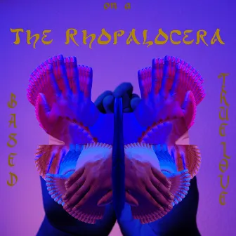 Based on a True Love: The Rhopalocera (2023 Remastered Version) by Mus