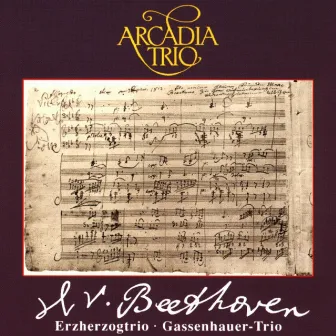 Ludwig van Beethoven by Arcadia-Trio