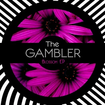 Blossom by The Gambler