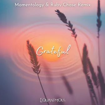 Grateful (Momentology & Ruby Chase Remix) by Momentology