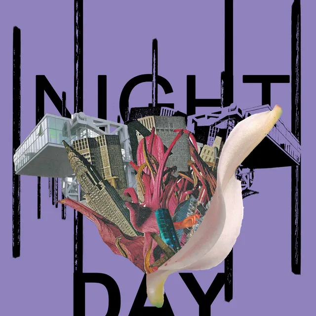 Night and Day