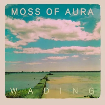 Wading by Moss Of Aura