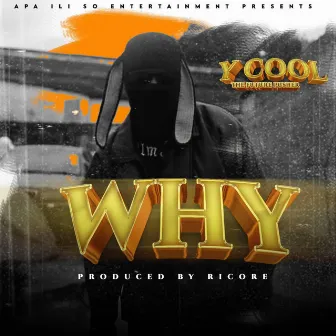 WHY by Y-cool