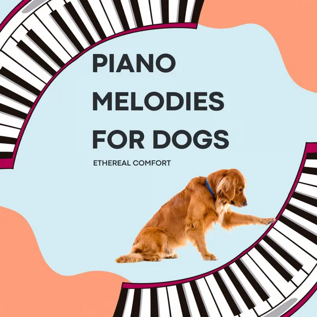 Cherished Moments of Piano's Canine Comfort