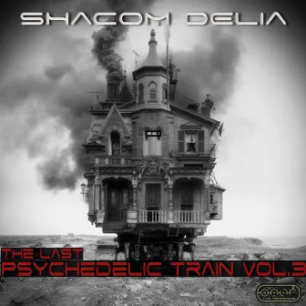 The Last Psychedelic Train vol.3 by Shacom Delia