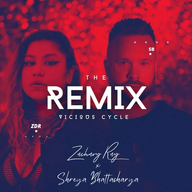 Vicious Cycle (The Remix)