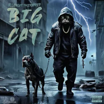 Big Cat by AlleyCat TheRapper