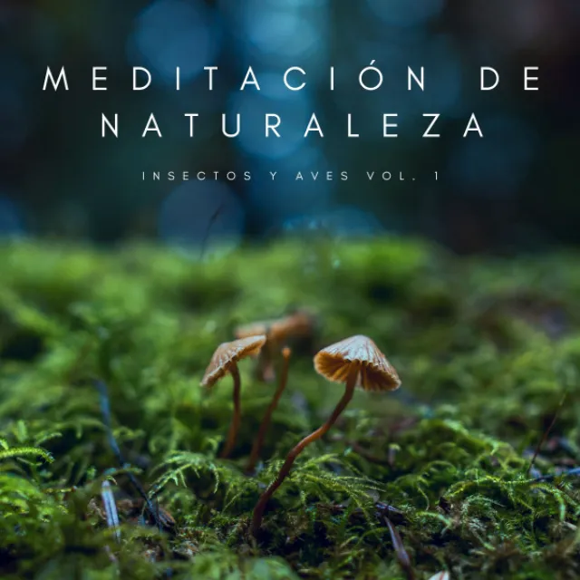 Meditación De Naturaleza: Insectos y Aves Vol. 1