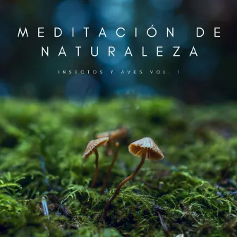 Meditación De Naturaleza: Insectos y Aves Vol. 1 by Pajaritos Cantando